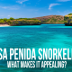 nusa penida snorkeling, snorkeling in nusa penida, snorkeling tour in nusa penida, snorkeling destination in bali, nusa penida snorkeling tour, snorkeling at manta point, snorkeling spots in nusa penida, snorkeling trip in nusa penida, bali fun activities,