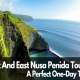 west and east nusa penida, nusa penida tour, west and east tour, west nusa penida tour, west nusa penida, east nusa penida tour, bali fun activities, kelingking beach, broken beach, angels billabong, diamond beach, atuh beach, molenteng tree house,
